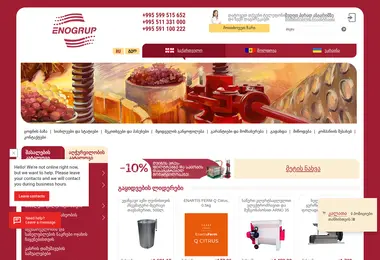 Screenshot of enogrup.ge