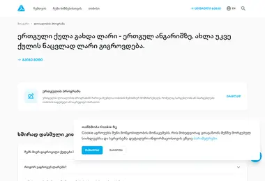 Screenshot of ertguli.ge