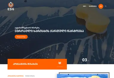 Screenshot of esggeorgia.ge