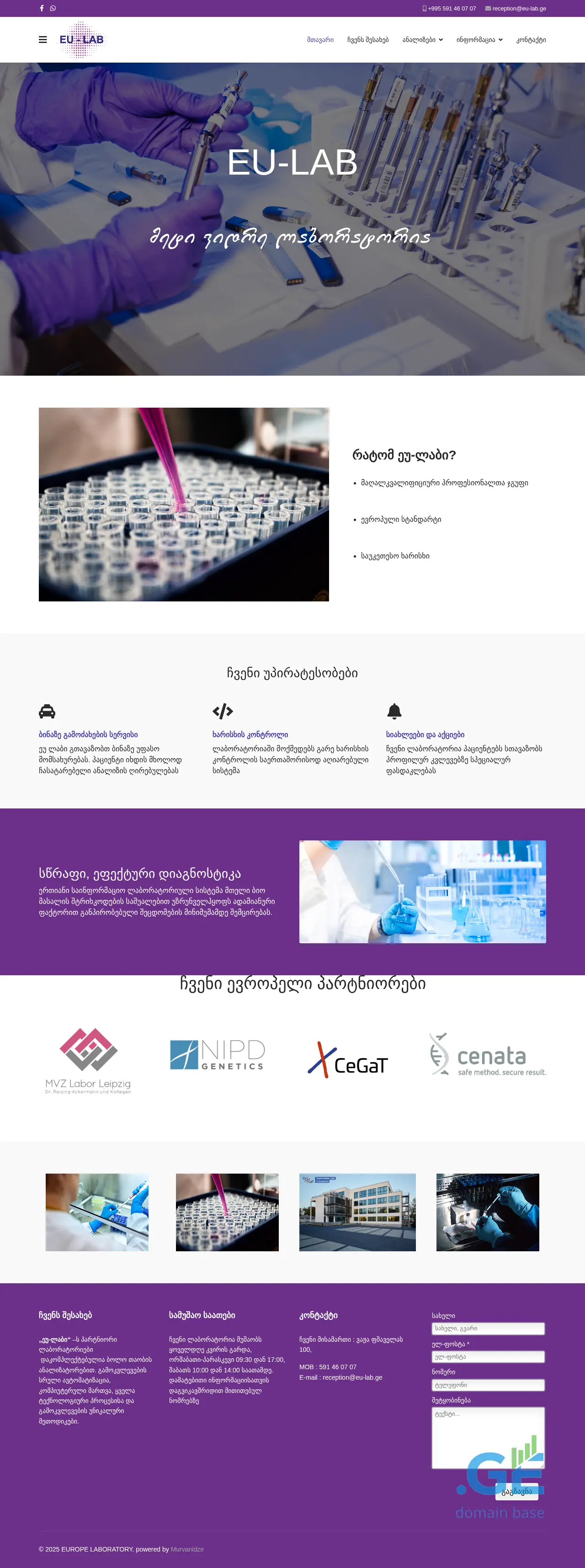 Screenshot of the site eu-lab.ge