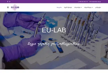 Screenshot of eu-lab.ge