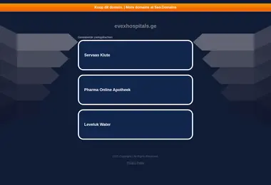 Screenshot of evexhospitals.ge