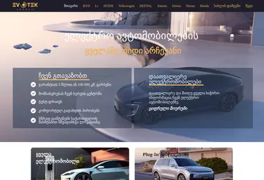 evotek.ge-ის ეკრანის სურათი