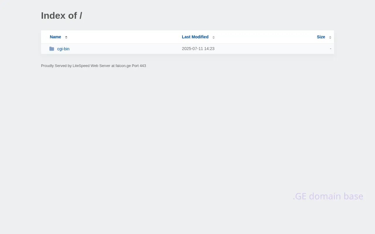 Screenshot of the site falcon.ge