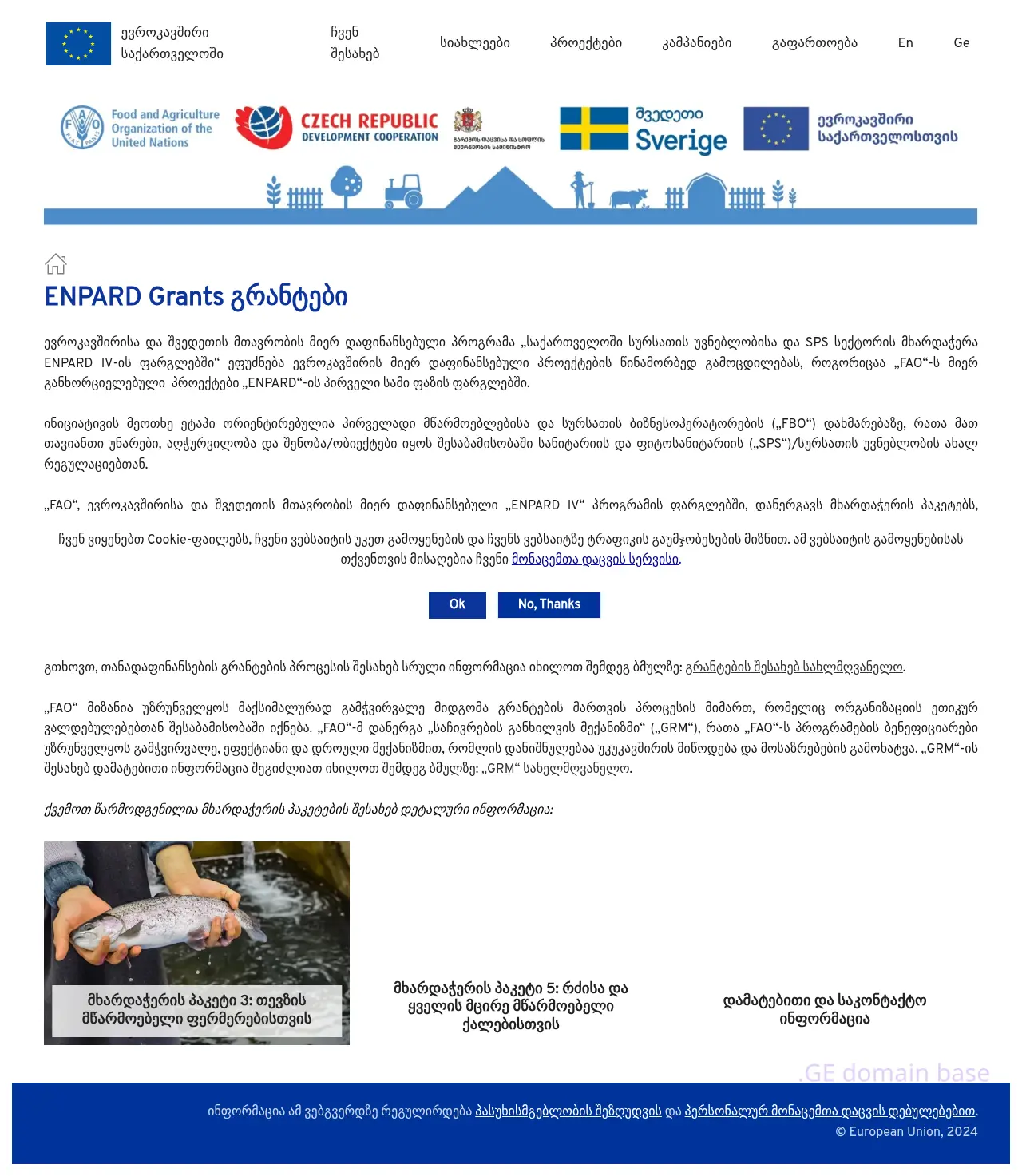 Screenshot of the site faogrants.ge