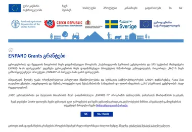 Screenshot of faogrants.ge