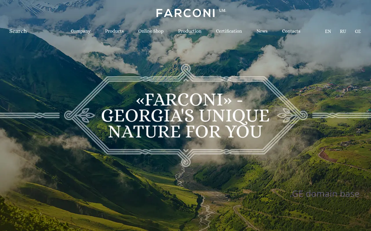 Screenshot of the site farconi.com.ge