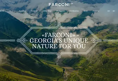 Screenshot of farconi.com.ge