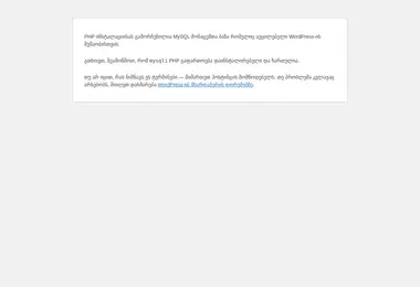 Screenshot of fino.ge