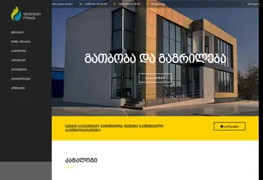 Screenshot of fitingi.ge