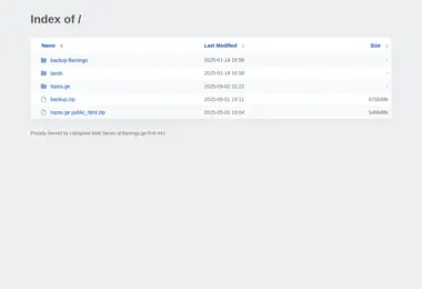 Screenshot of flamingo.ge