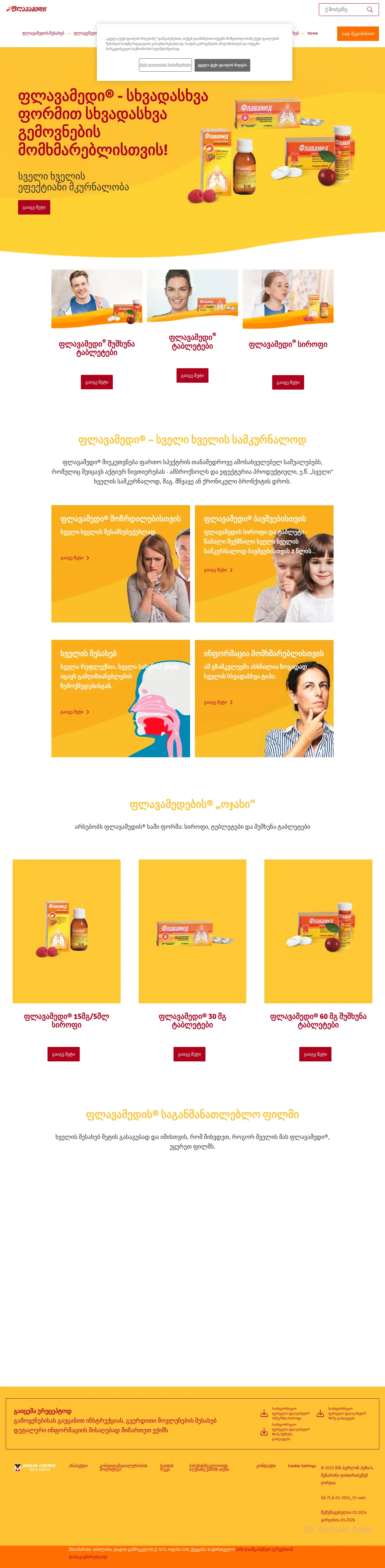 Screenshot of the site flavamed.ge