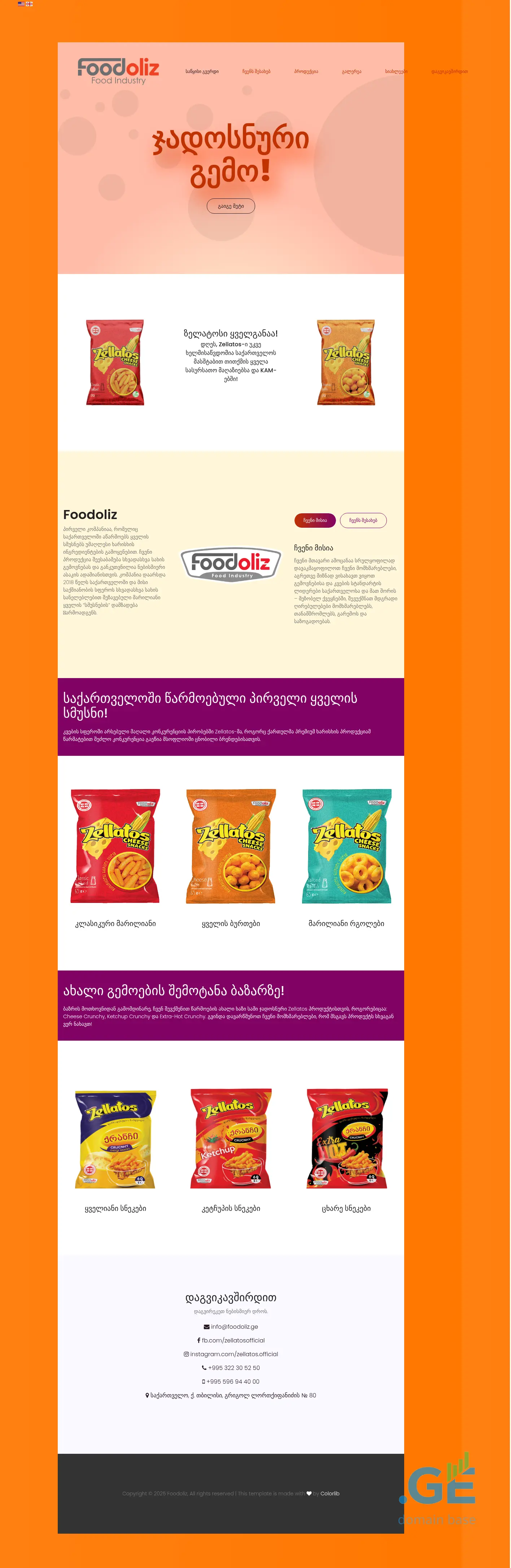 Screenshot of the site foodoliz.ge