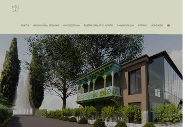 Screenshot of fortis.ge