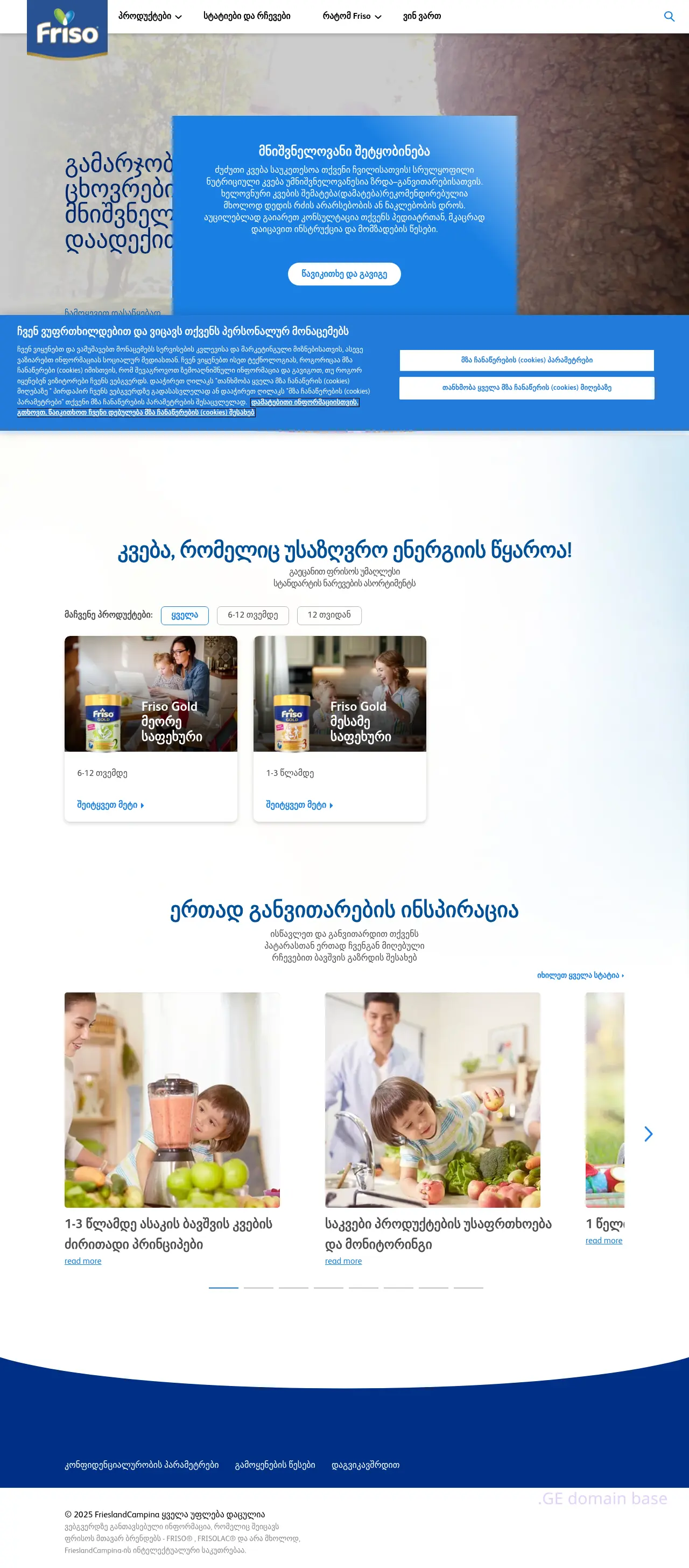 Screenshot of the site friso.ge