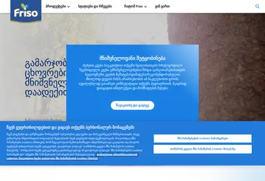Screenshot of friso.ge