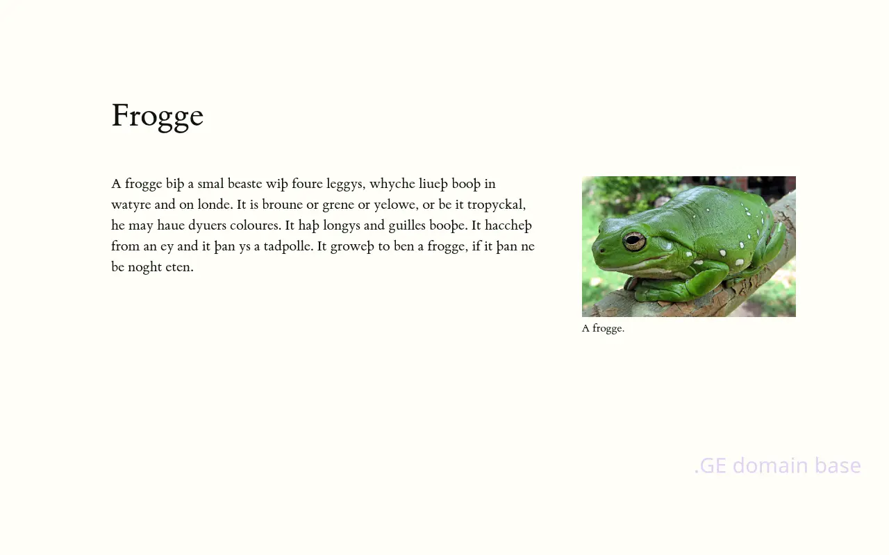 Screenshot of the site frog.ge