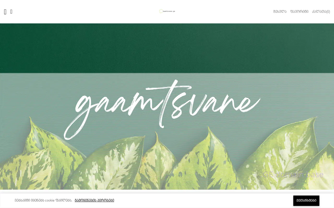Screenshot of the site gaamtsvane.ge