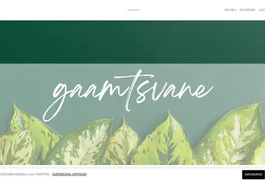 Screenshot of gaamtsvane.ge