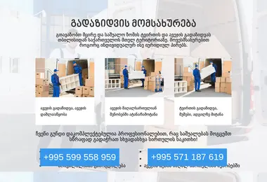 Скриншот gadavzidot.ge