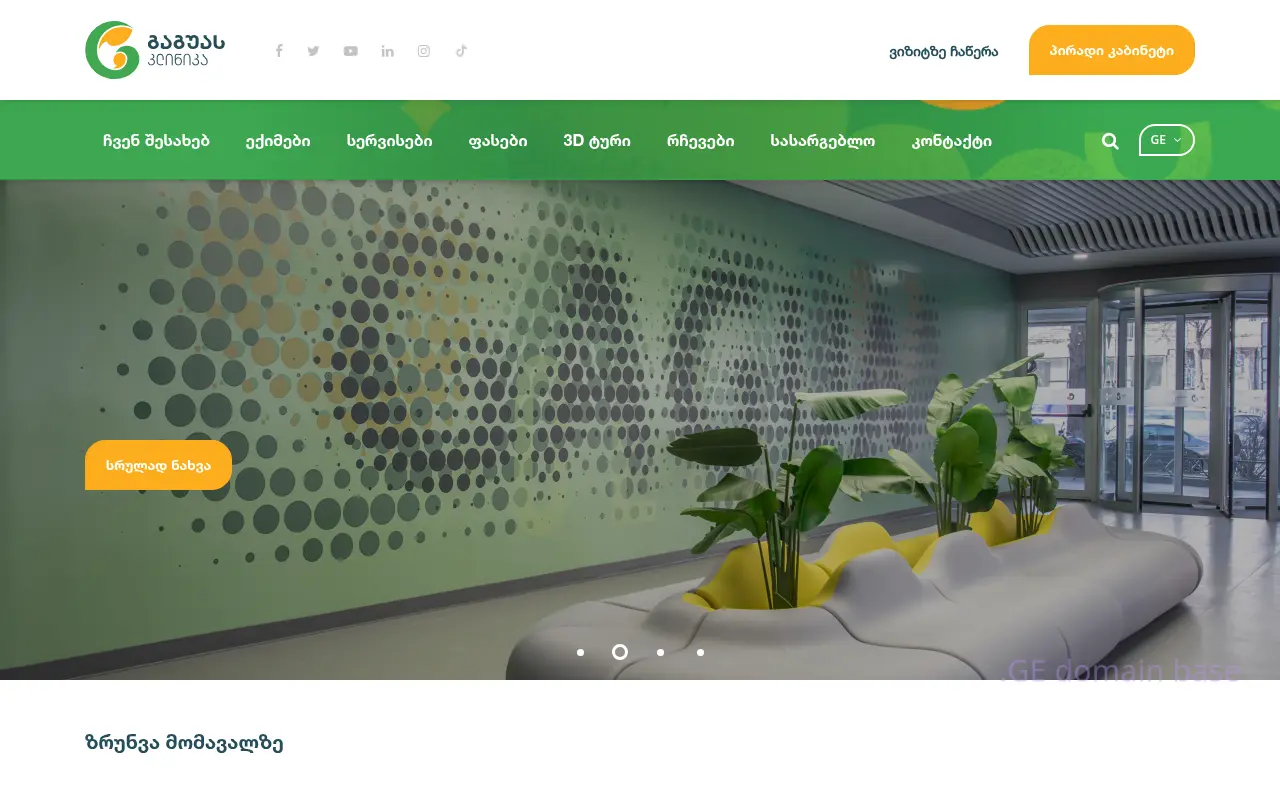 Screenshot of the site gaguaclinic.ge