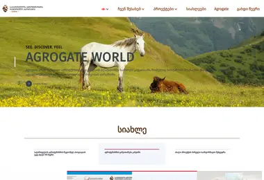 Screenshot of gara.org.ge