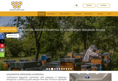 Screenshot of geobeekeepers.ge