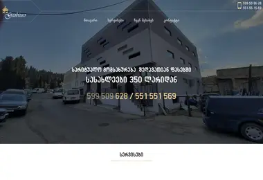Screenshot of geobiuro.ge