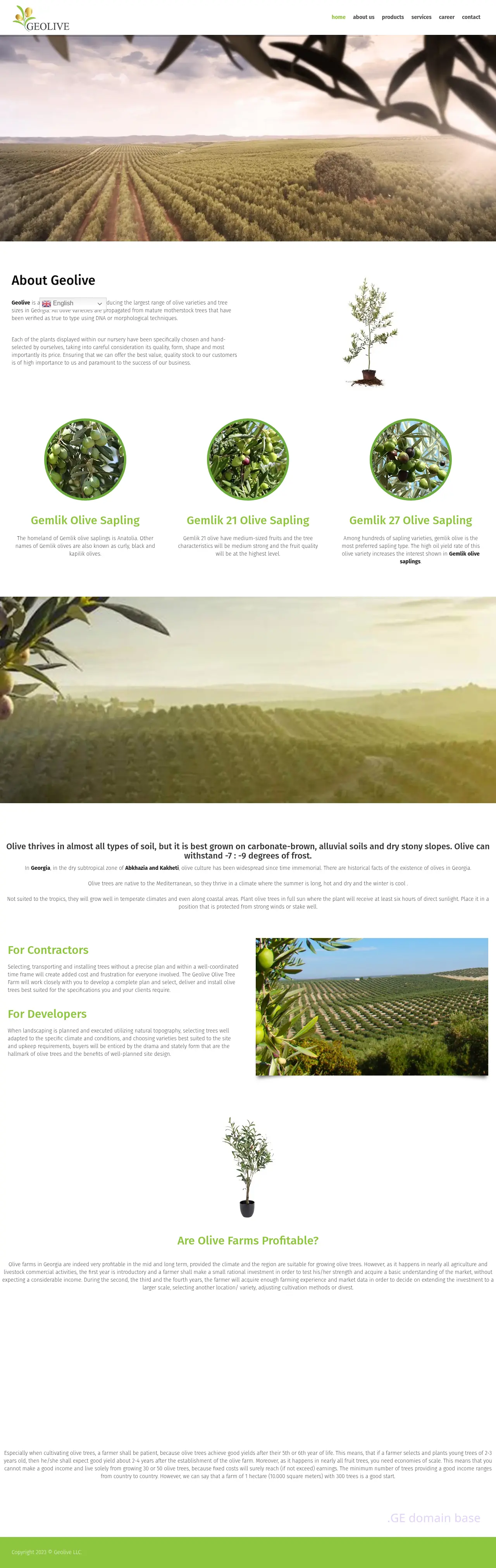 Screenshot of the site geolive.ge