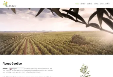 Screenshot of geolive.ge
