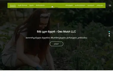 Screenshot of geomulch.ge