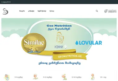 Screenshot of geonutrition.ge