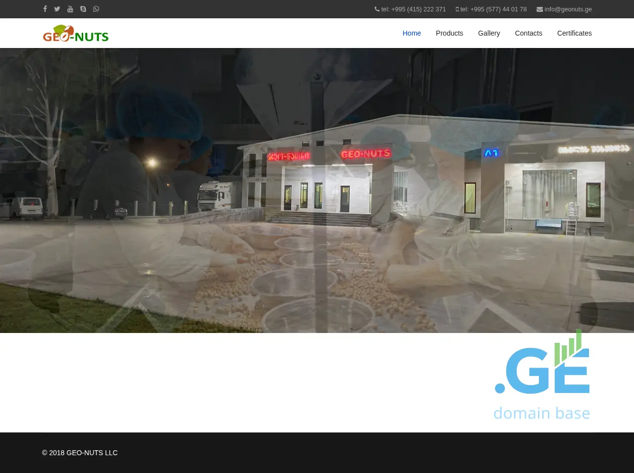 Screenshot of the site geonuts.ge