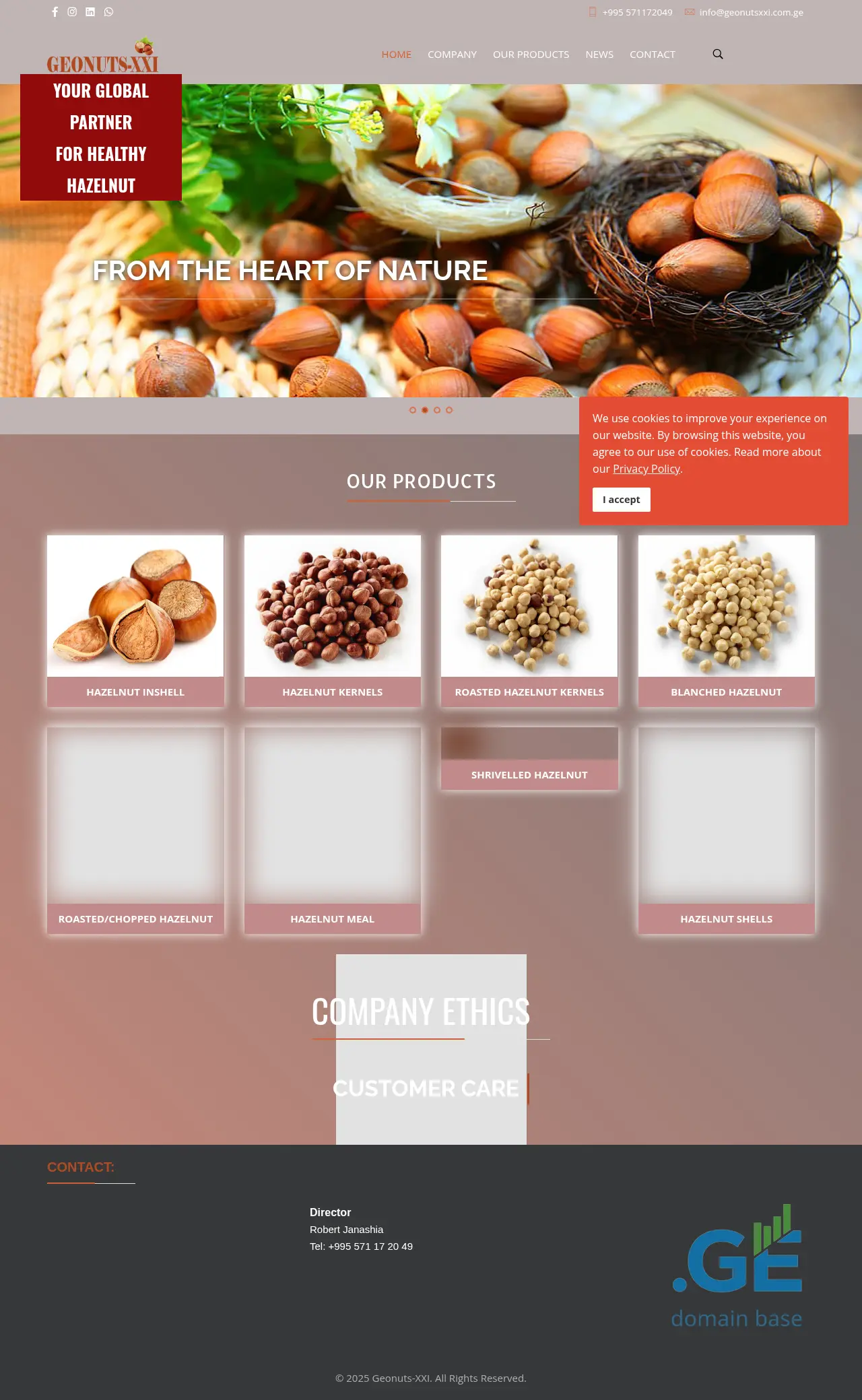 Screenshot of the site geonutsxxi.com.ge