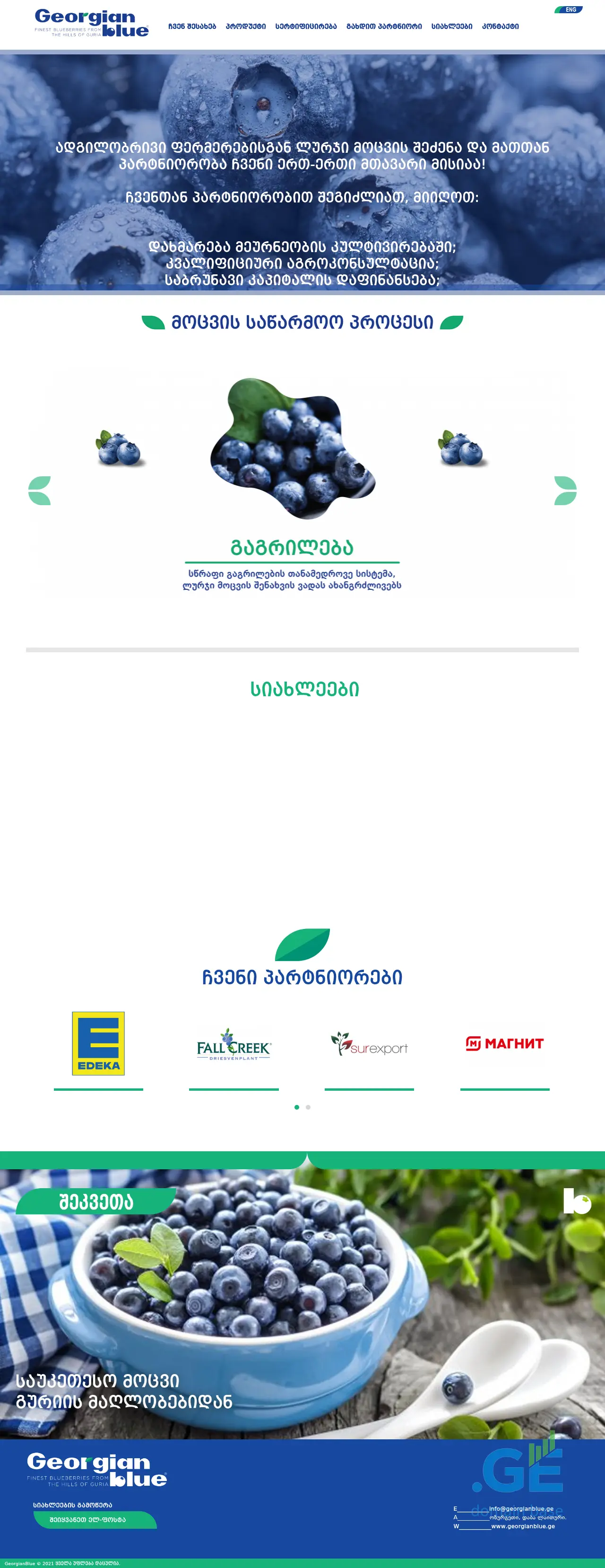 Screenshot of the site georgianblue.ge