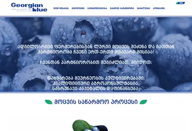 Screenshot of georgianblue.ge
