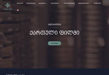 Screenshot of georgianfilm.ge