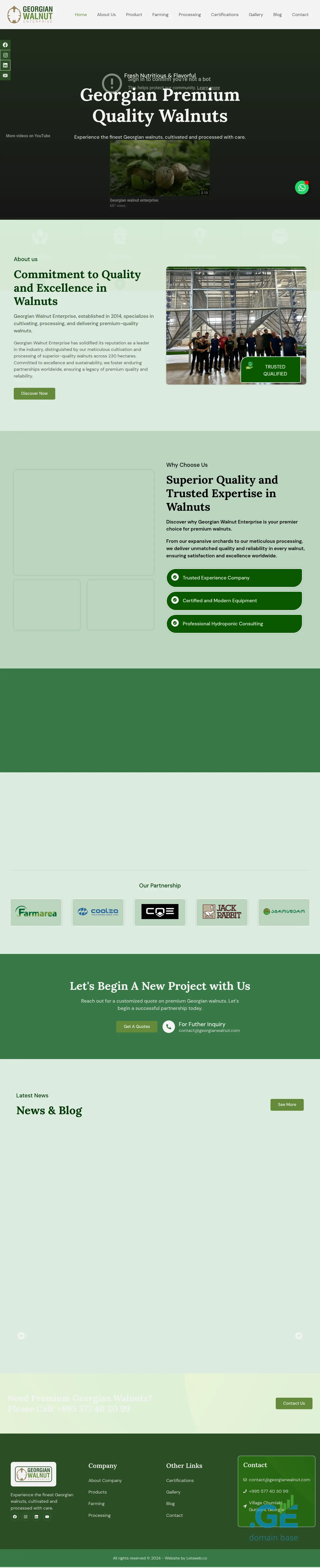 Screenshot of the site georgianwalnut.ge