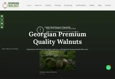 Screenshot of georgianwalnut.ge