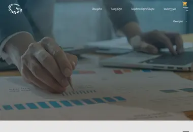 Screenshot of geostm.ge