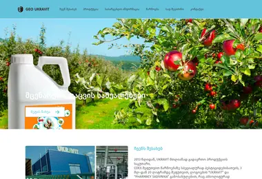 Screenshot of geoukravit.ge