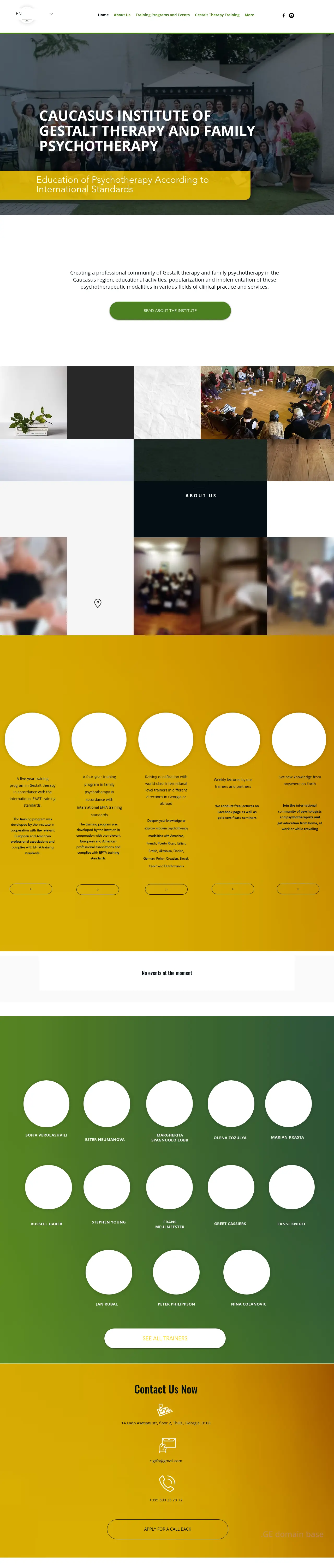Screenshot of the site gestaltinstitute.ge