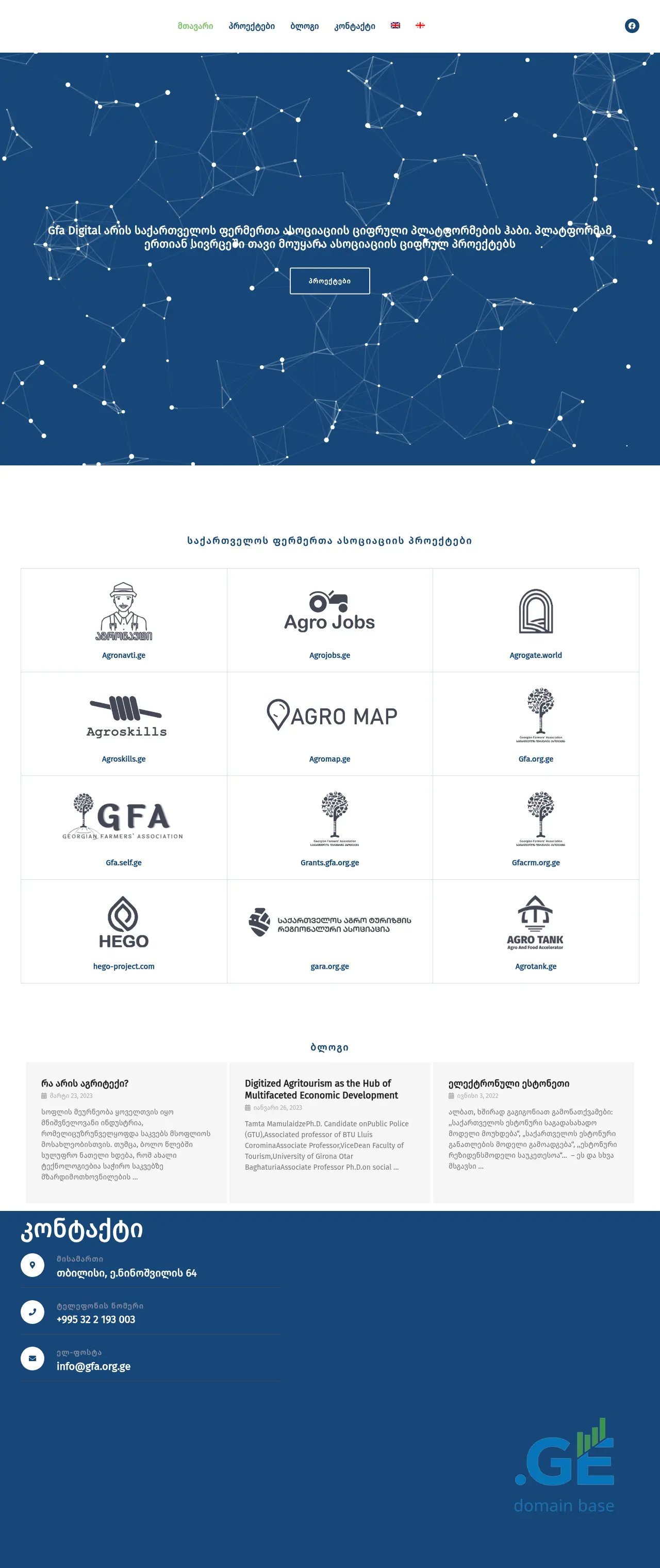Screenshot of the site gfadigital.ge