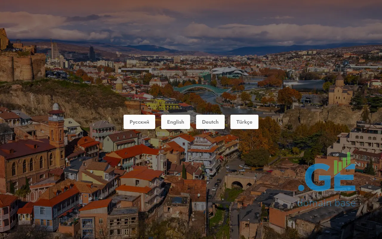 Screenshot of the site gidgruzia.ge
