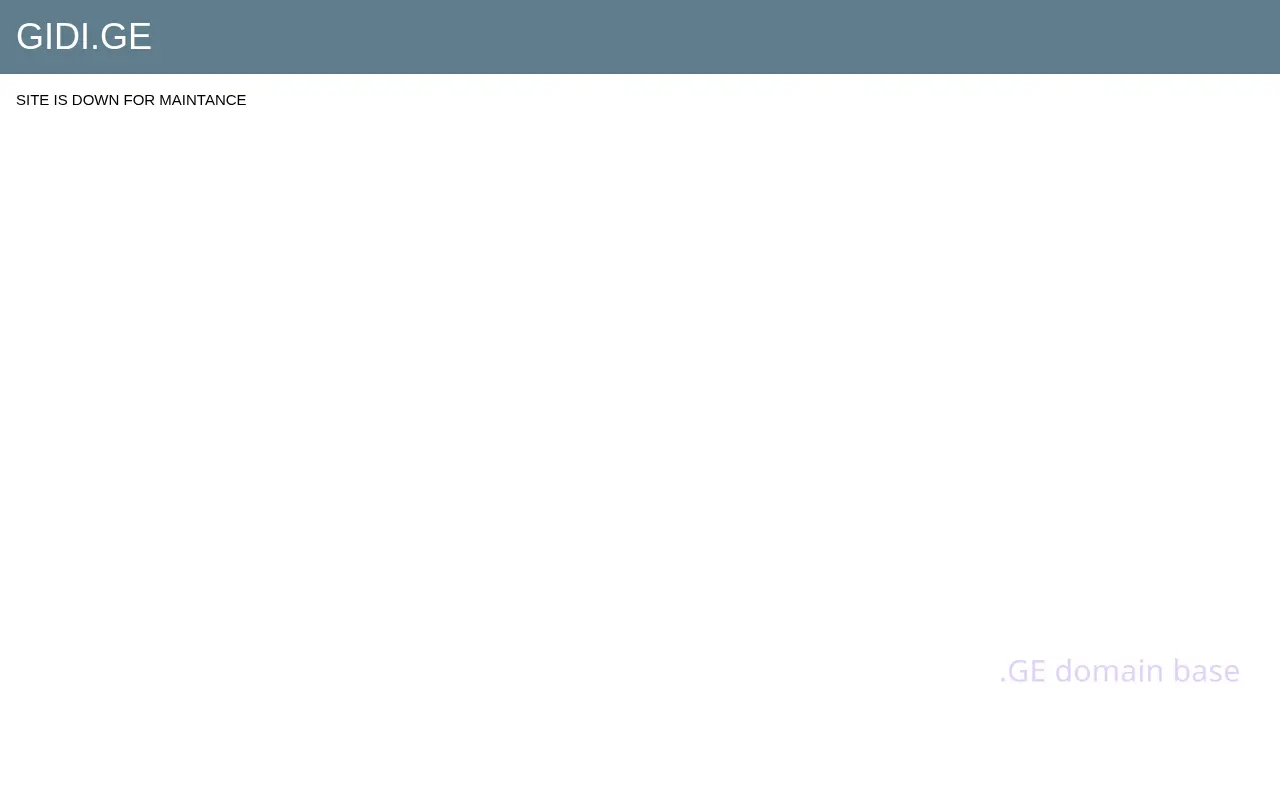 Screenshot of the site gidi.ge