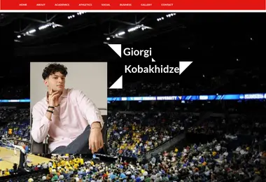 Screenshot of giorgikobakhidze.ge