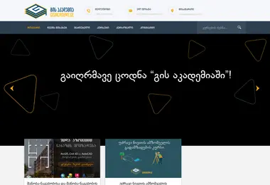 Screenshot of gisacademy.ge