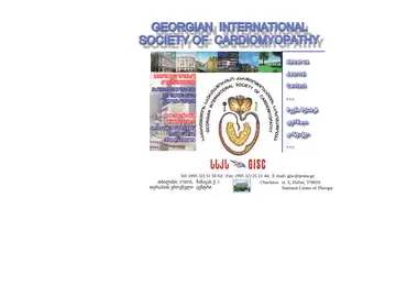 Screenshot of gisc.ge