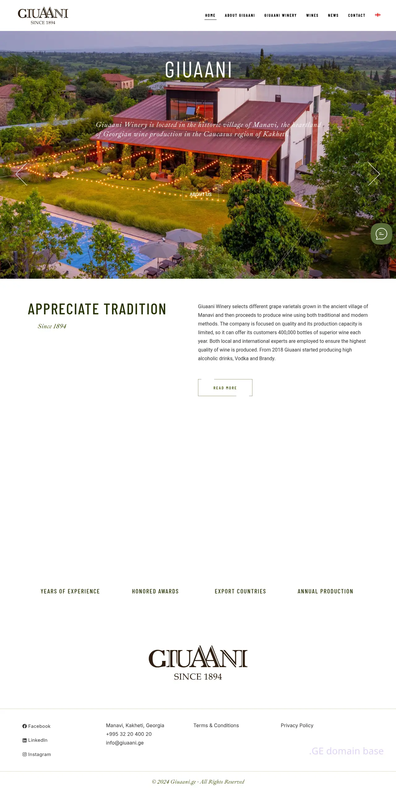 Screenshot of the site giuaani.ge