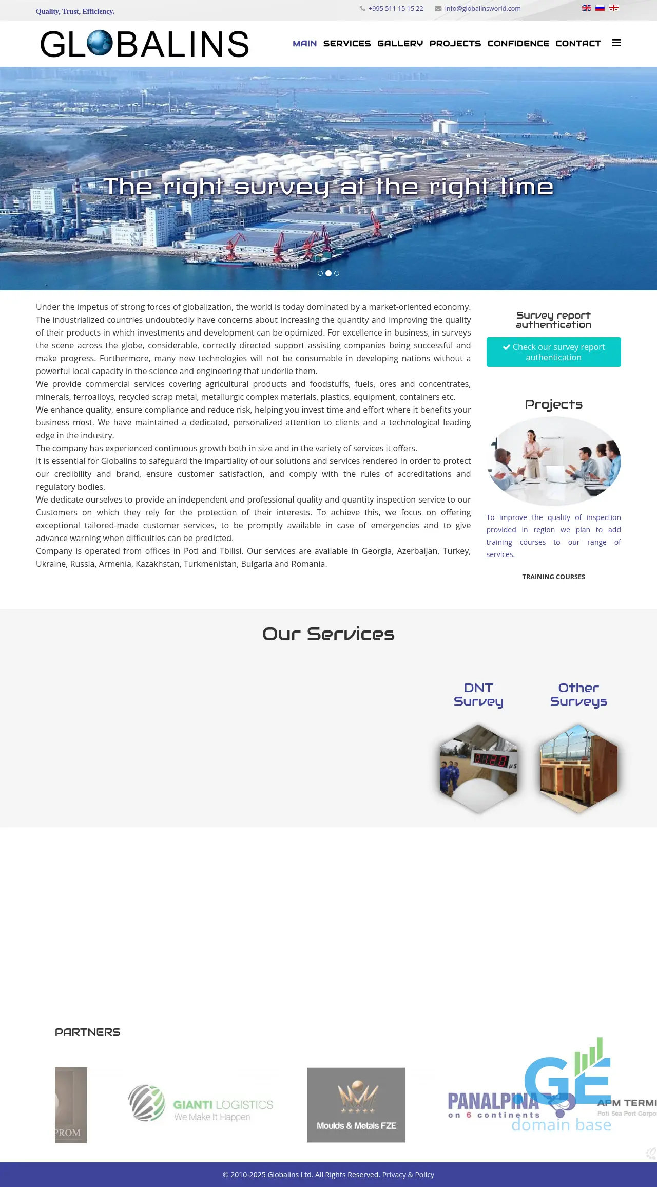 Screenshot of the site globalins.ge